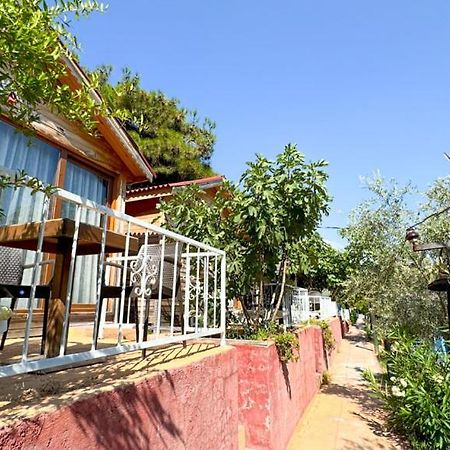 Gaia Bungalow Bed & Breakfast Ayvalı Dış mekan fotoğraf