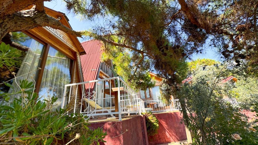 Gaia Bungalow Bed & Breakfast Ayvalı Dış mekan fotoğraf