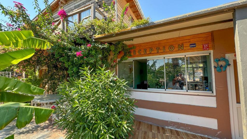 Gaia Bungalow Bed & Breakfast Ayvalı Dış mekan fotoğraf